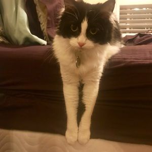 Meet your Posher, Teresa